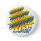 Sha-Boobies! Button
