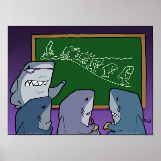 Shaaark! evolution poster