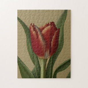 Shabby Chic Lovely  Red Tulip  Jigsaw Puzzle