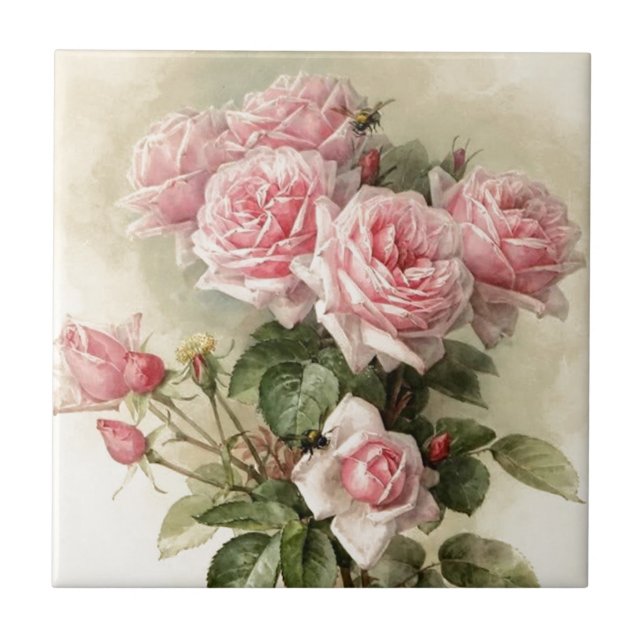 Shabby Chic Pink Victorian Roses Tile (Front)