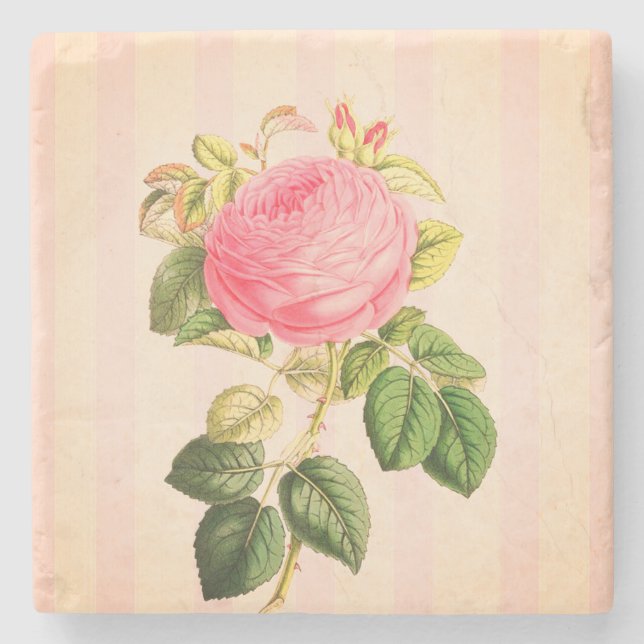 Shabby Chic Pink Vintage Rose Marble Coaster (Front)