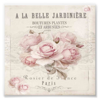 shabby chic,rustic,vintage,floral,collage,country, photo print