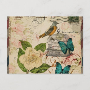 shabby elegance botanical bird french provincial postcard