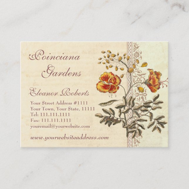 Shabby Elegance Vintage Poinciana Flowers Business Card (Front)