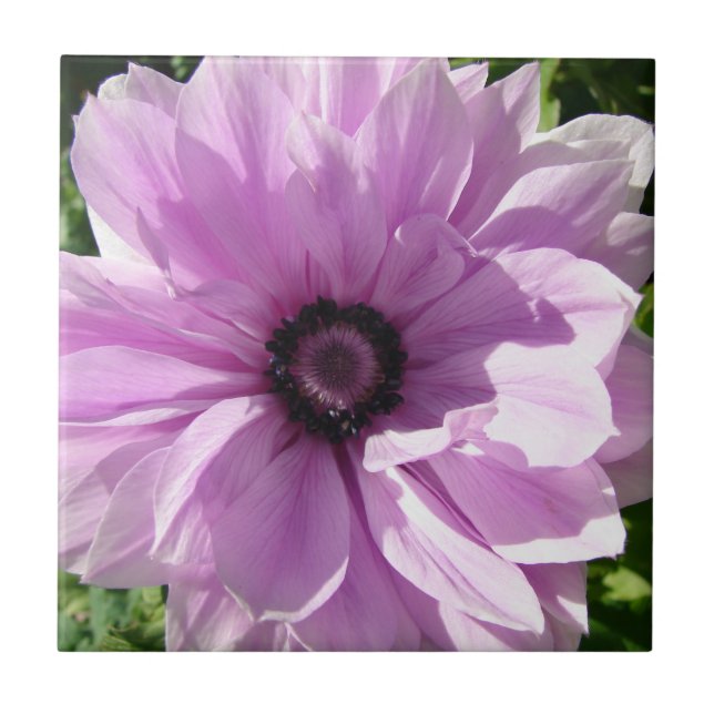 Shabby Purple Spring flower floral Ceramic Tile (Front)