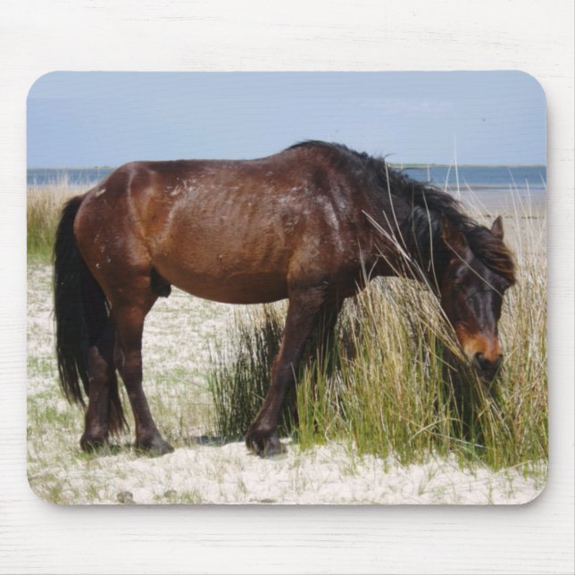 Shackleford Banks WIld Horse Grazing Mouse Pad (Front)