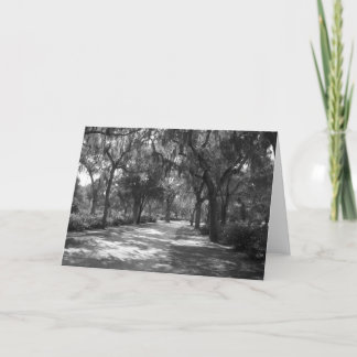 Shade 'neath Spanish Moss Card