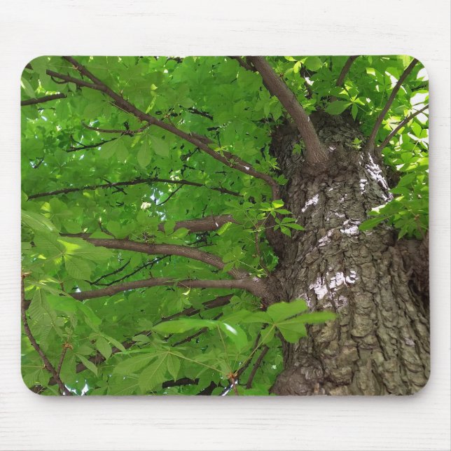 shade of the tree mouse pad (Front)
