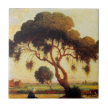 Shade Tree
