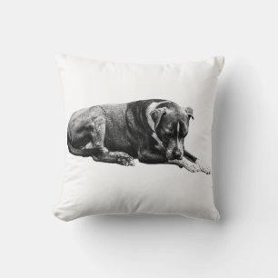 Shaded Lounge Dog Pillow