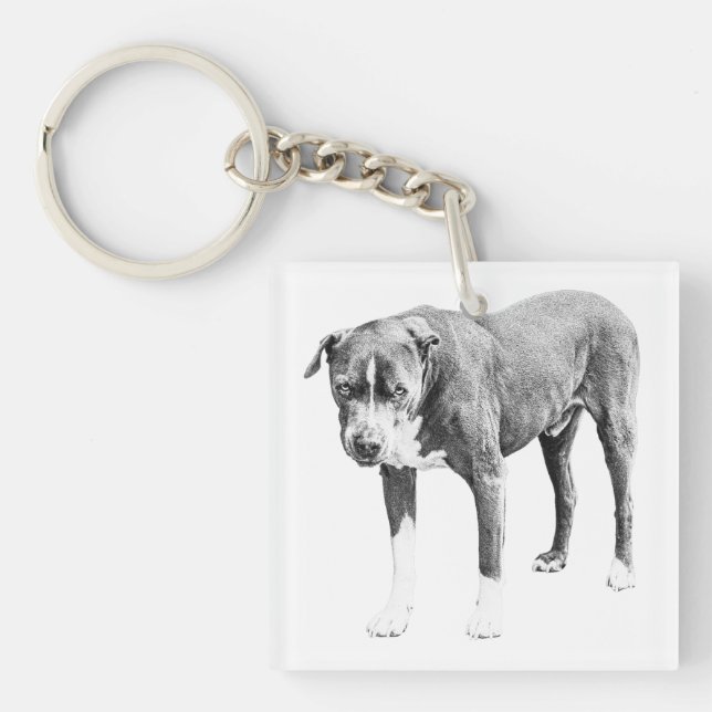 Shaded Pit Bull Mini Tag Key Ring (Front)