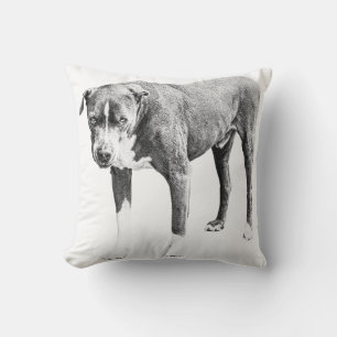 Shaded Pit Bull Sofa Pillow