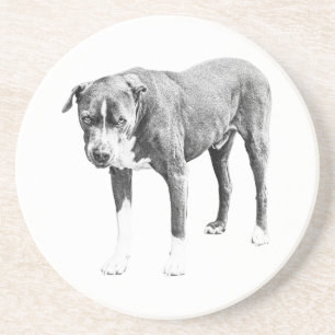 Shaded Pit Bull Table Coaster
