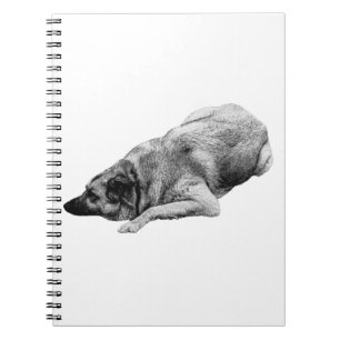 Shaded Relax Dog Inspires Gentle Holiday Writing Notebook