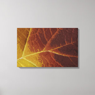 Shades of Autumn Leaf Canvas Print