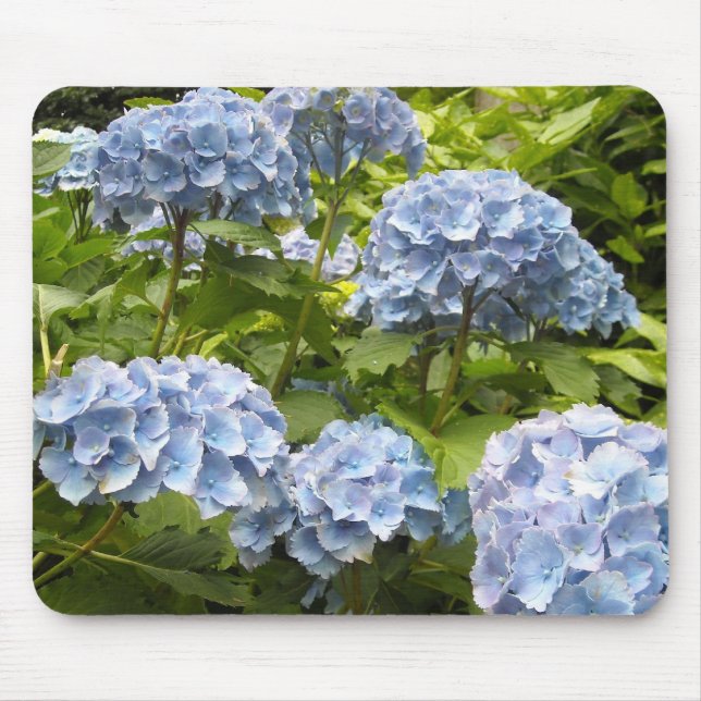 Shades of Blue Hydrangeas Mouse Pad (Front)