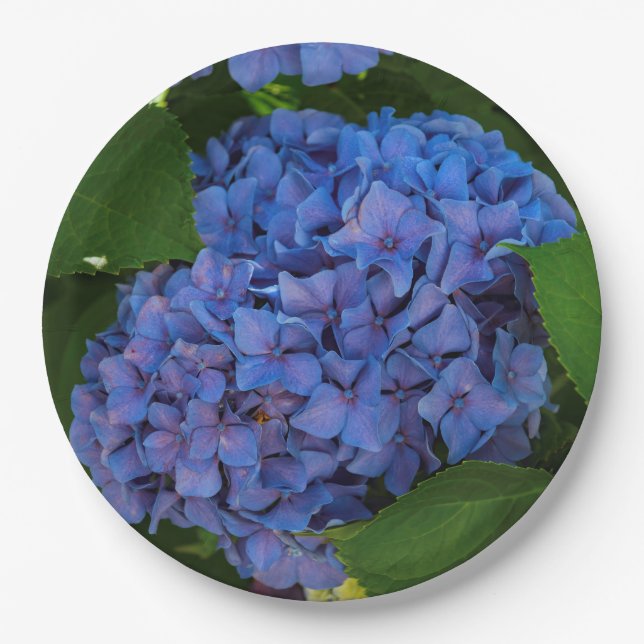 Shades Of Blue - The Blue Hydrangea Paper Plate (Front)