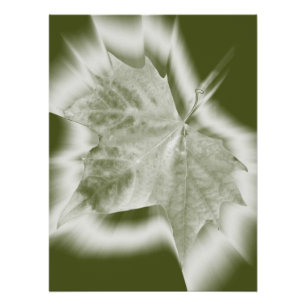 shades of green poster