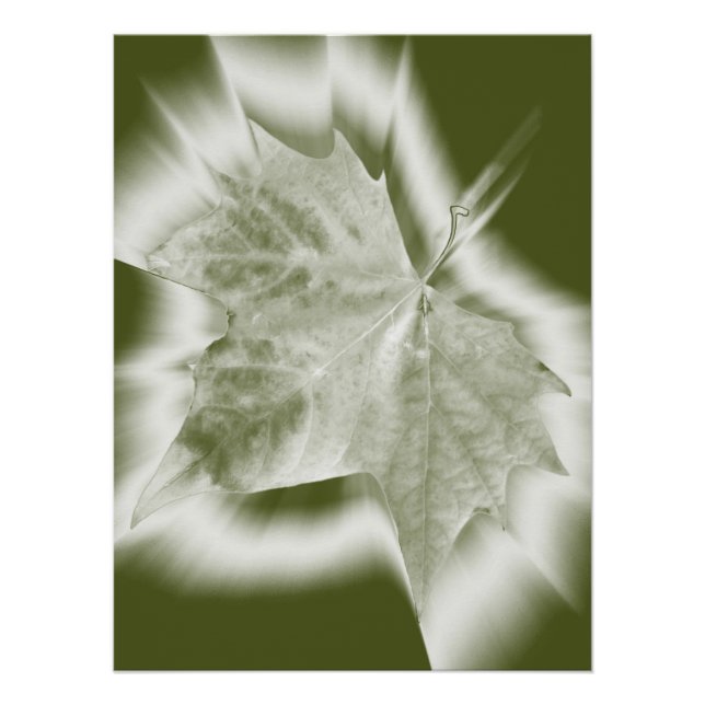 shades of green poster (Front)