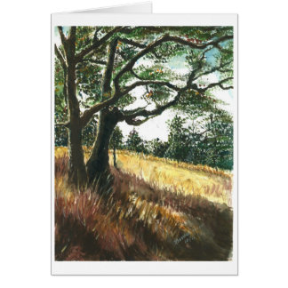 Shades of old trees