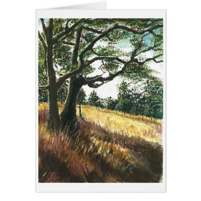 Shades of old trees (Front)
