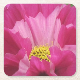 Shades Of Pink Flower Party Coaster