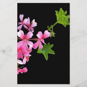 shades of pink on black stationery
