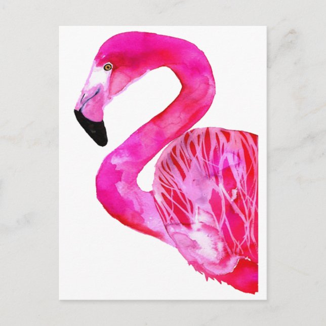 SHADES OF PINK POSTCARD (Front)