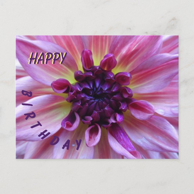 Shades of Purple Dahlia Happy Birthday Postcard (Front)