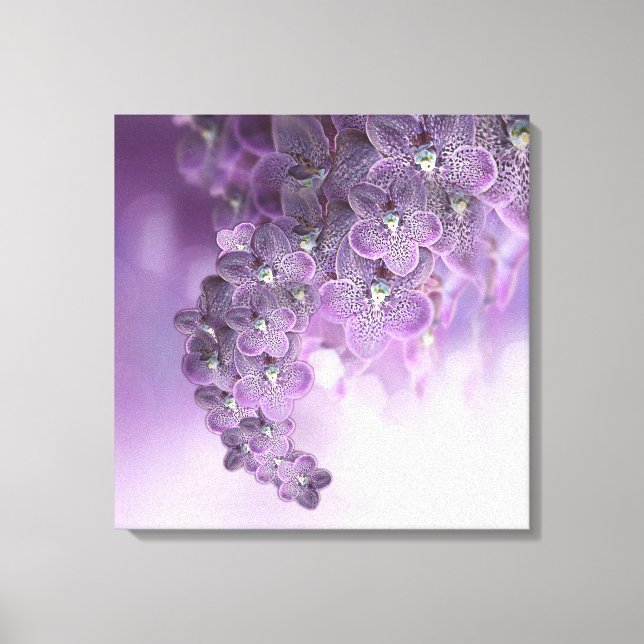 Shades of Violet Purple Orchids Canvas Print (Front)