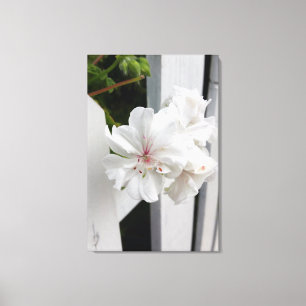 shades of white canvas print