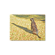 Shadow and his dog canvas art 