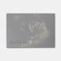 Shadow Cat Art Photography Green Eyes Kitty