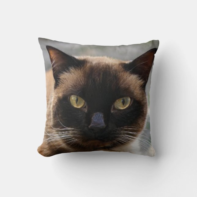 Shadow Cat Lover Dark Strong Face Pet Cushion (Front)