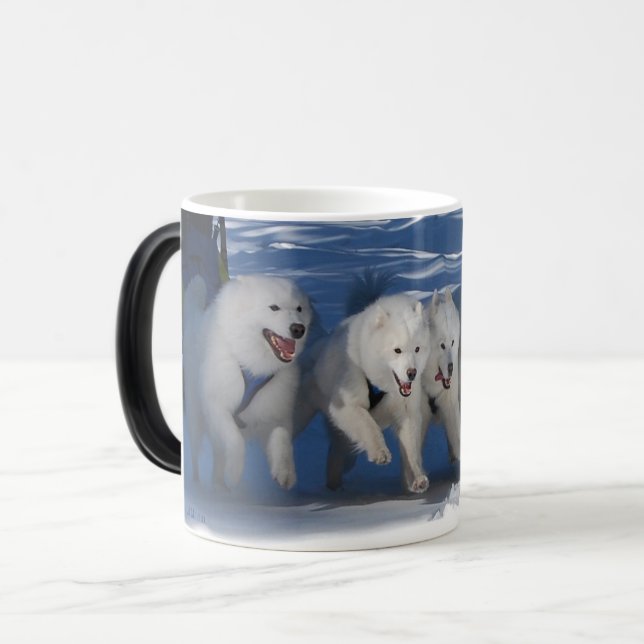 "Shadow Fan" Mug (Front Left)