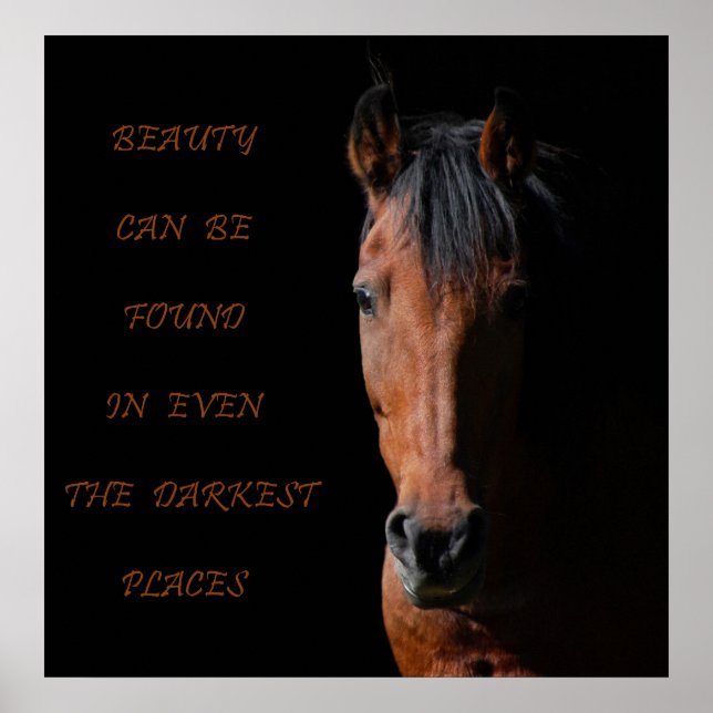 Shadow Horse Inspirational Poster (Front)