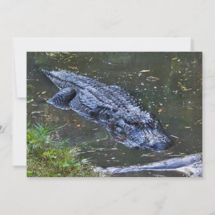 Shadow in the Shallows Card