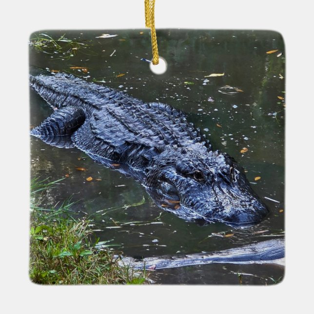 Shadow in the Shallows Ceramic Ornament (Front)