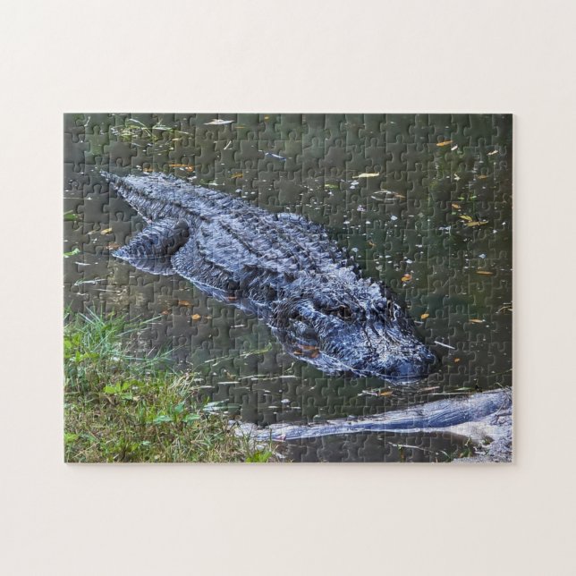 Shadow in the Shallows Jigsaw Puzzle (Horizontal)