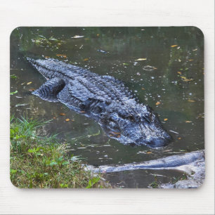 Shadow in the Shallows Mouse Pad