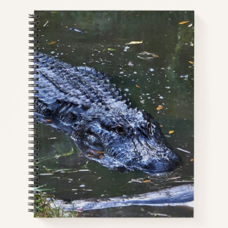 Shadow in the Shallows Notebook