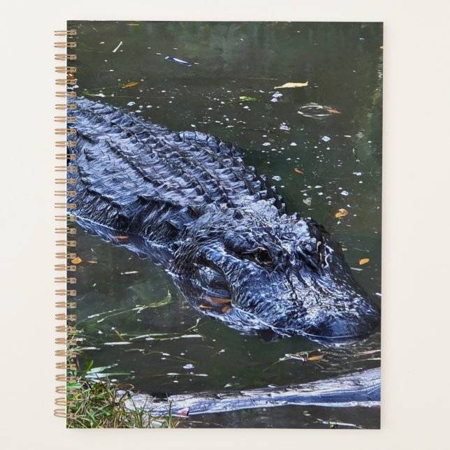 Shadow in the Shallows Planner (Front)