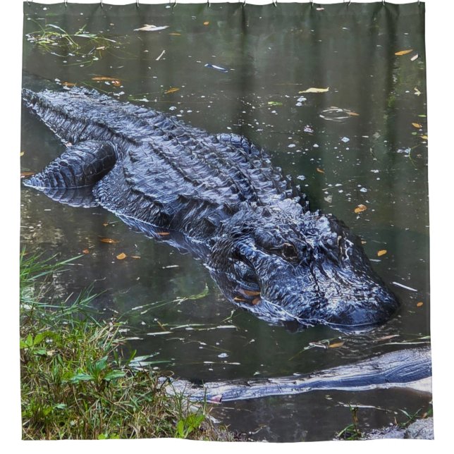 Shadow in the Shallows Shower Curtain (Front)