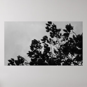 Shadow Leaves Poster