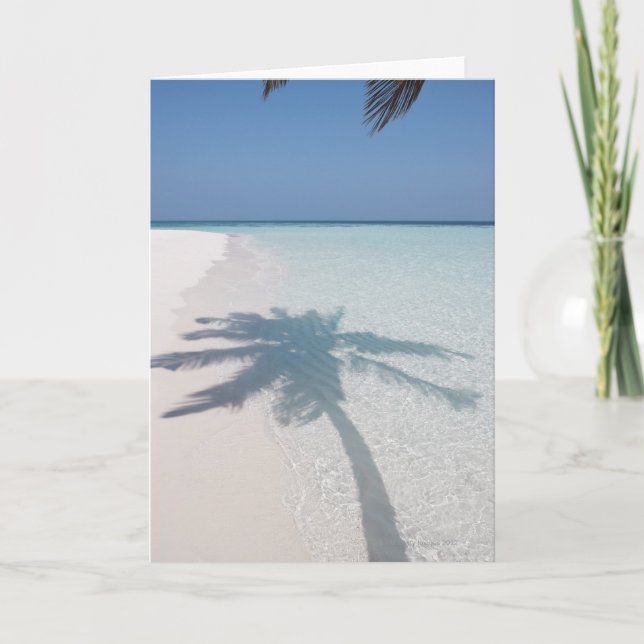 Shadow of a palm tree on a deserted island beach card (Front)