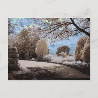 Shadow Of The Garden Postcard