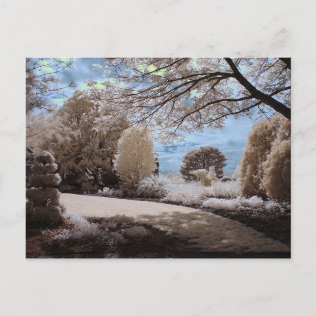 Shadow Of The Garden Postcard (Front)
