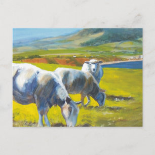 Shadowlands Postcard