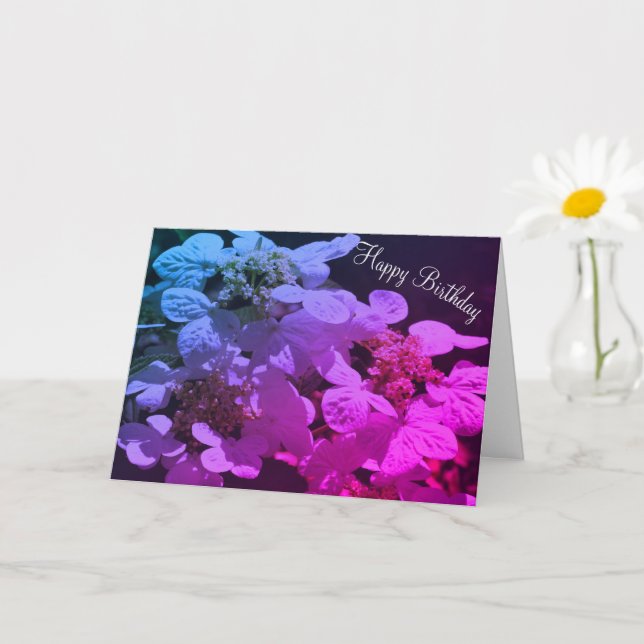 Shadows And Light Hydrangea Flower Birthday  Card (Small Plant)