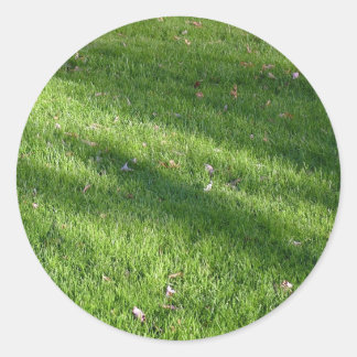 Shadows in the Grass Classic Round Sticker